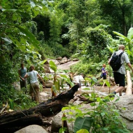 Trekking Chiang Mai